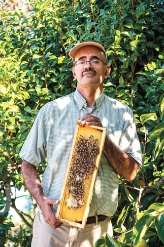 The Honey Wizard: Khaled Almaghafi